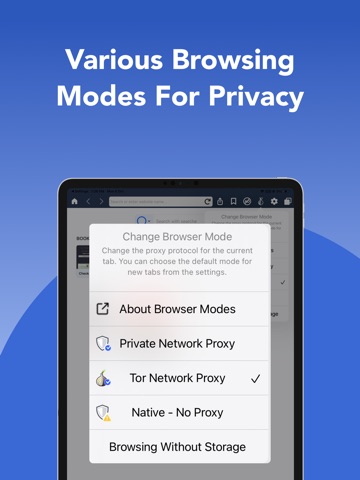 Onion Browser : Private VPN iPad screenshot