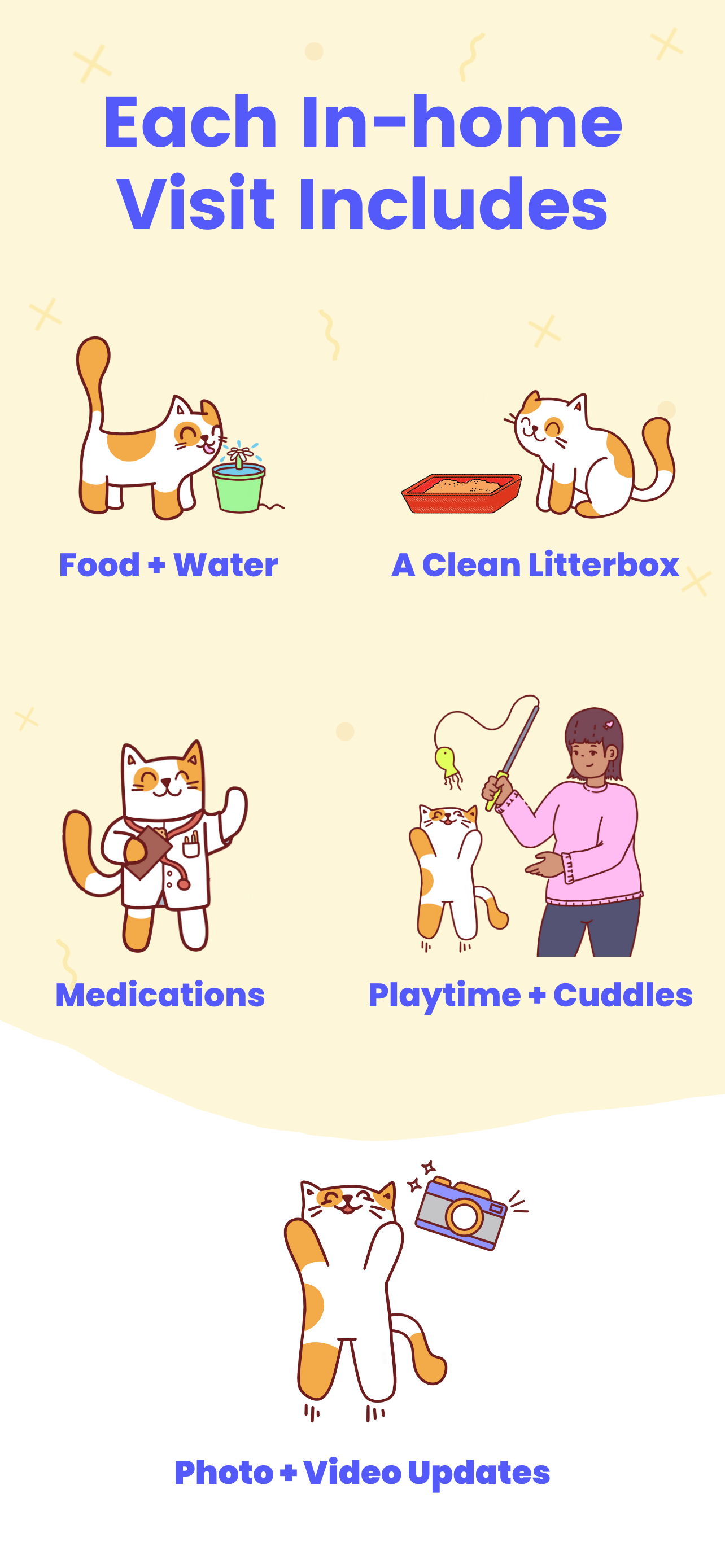 Meowtel: In-Home Cat Sitting