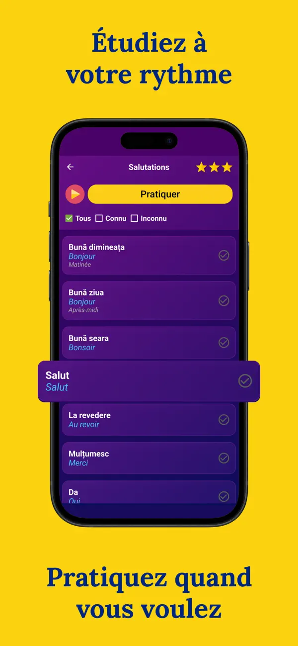 Screenshot #3 pour BNR: Apprendre le roumain
