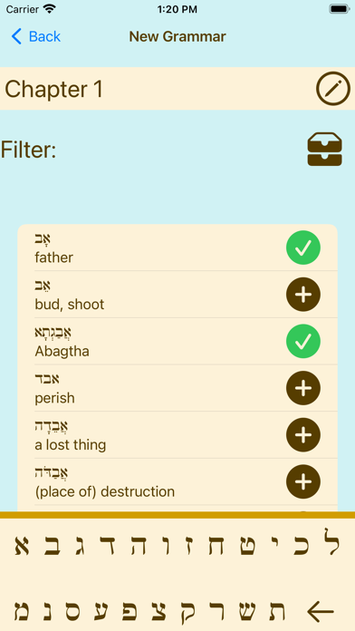 Hebrew Vocab Screenshot