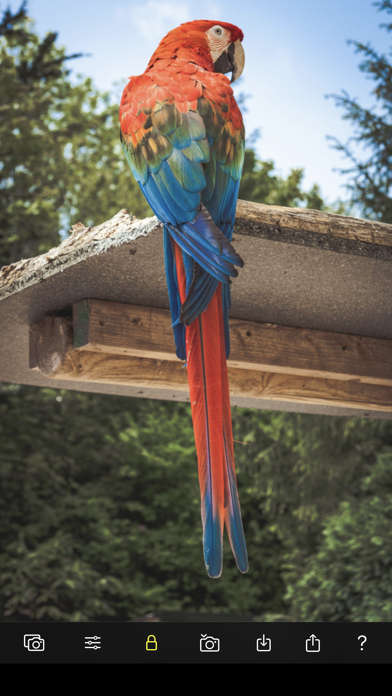 Color Focus Lens Screenshot