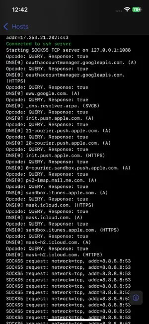 SocksSSH screenshot 3