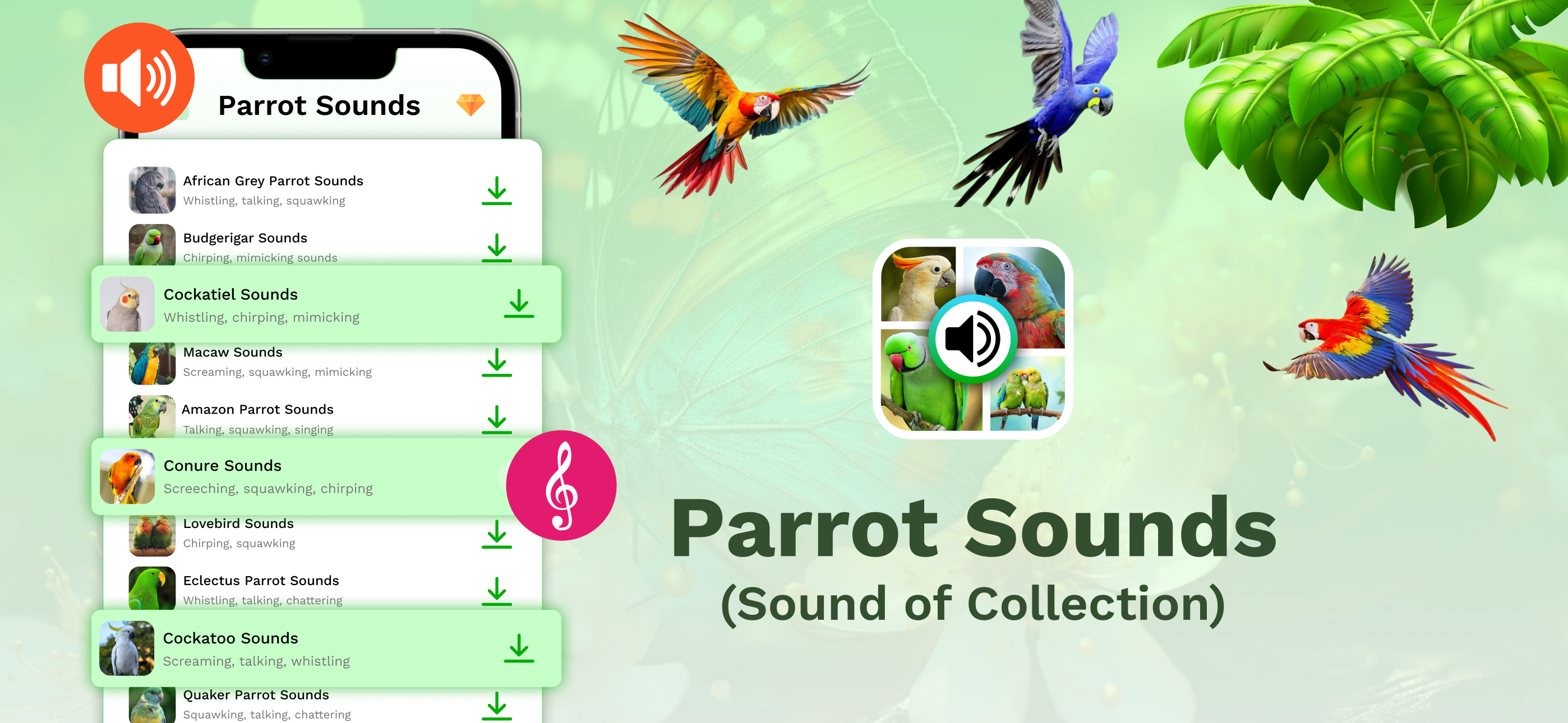 Parrot Sounds & Wallpapers 4K