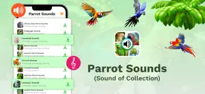 Parrot Sounds & 4K Wallpapers screenshot #2 for iPhone