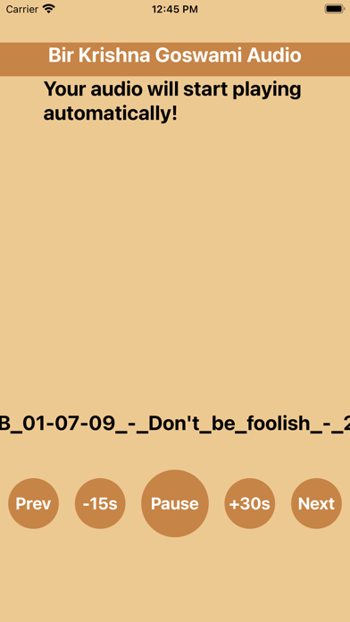 BKGAudio Screenshot