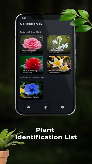 Plany - Plant ID Screenshot