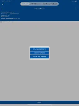 BigAPro screenshot 10