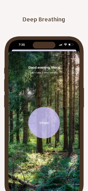 MirrorUp21-21 Day Mirror Work screenshot 2
