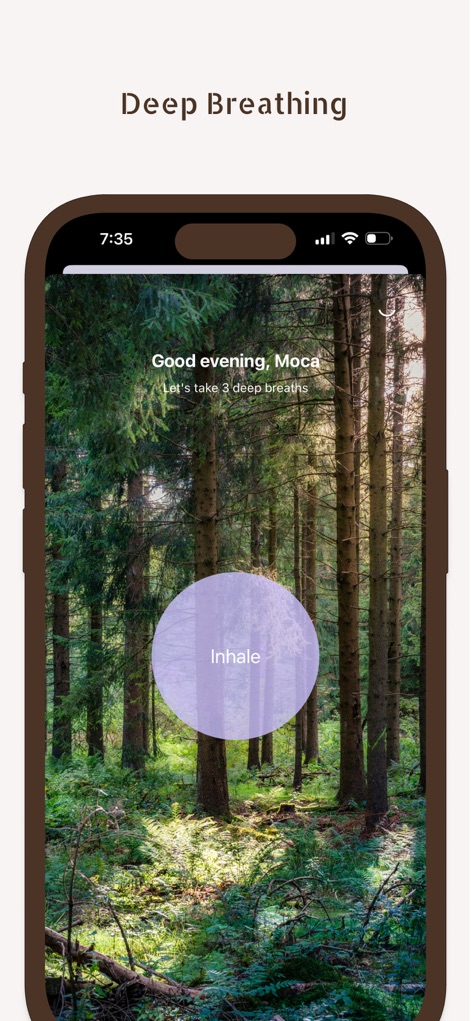 MirrorUp21-21 Day Mirror Work - Health & Fitness App | MWM