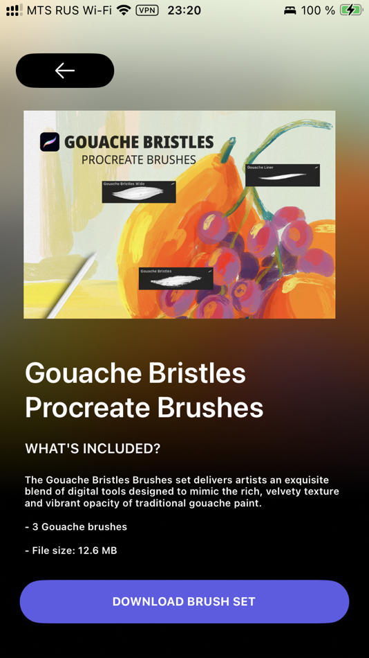 #3. Procreate Brushes & Stamps (iOS) 게시자: Dmitry Mashkin