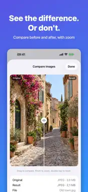 Real Image Compressor screenshot 2