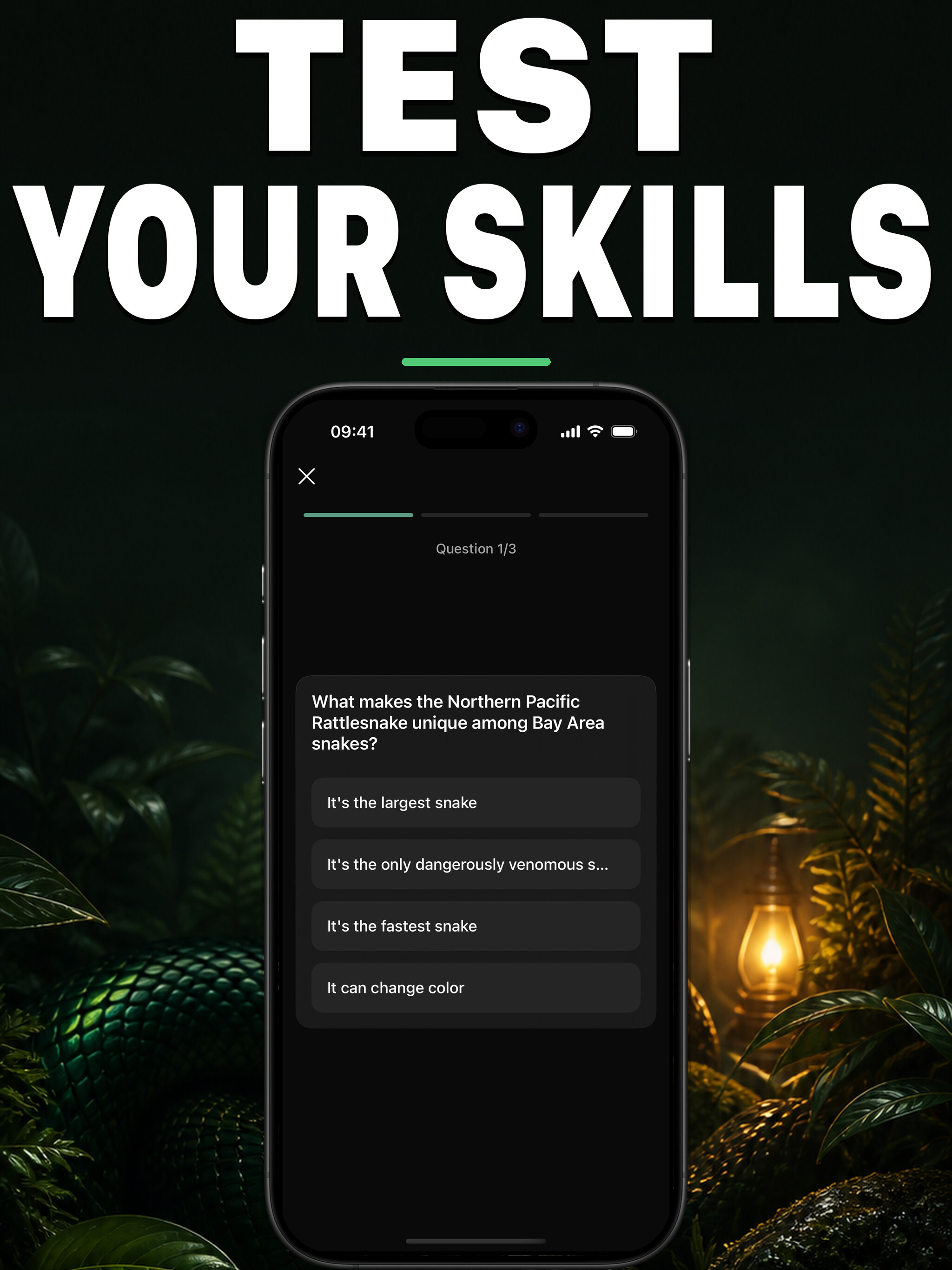 Vipr AI: Snake Identifier