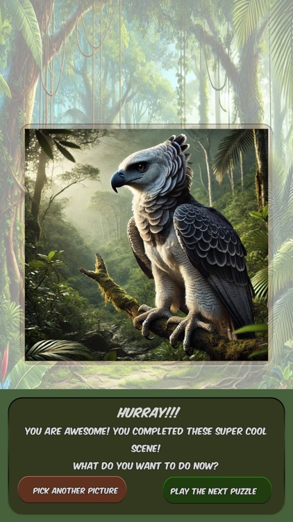 Slide Puzzle Exotic Animals screenshot-4