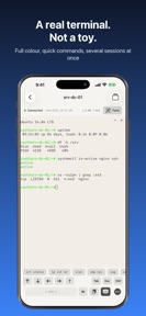 Konsol: SSH & Serial Console screenshot