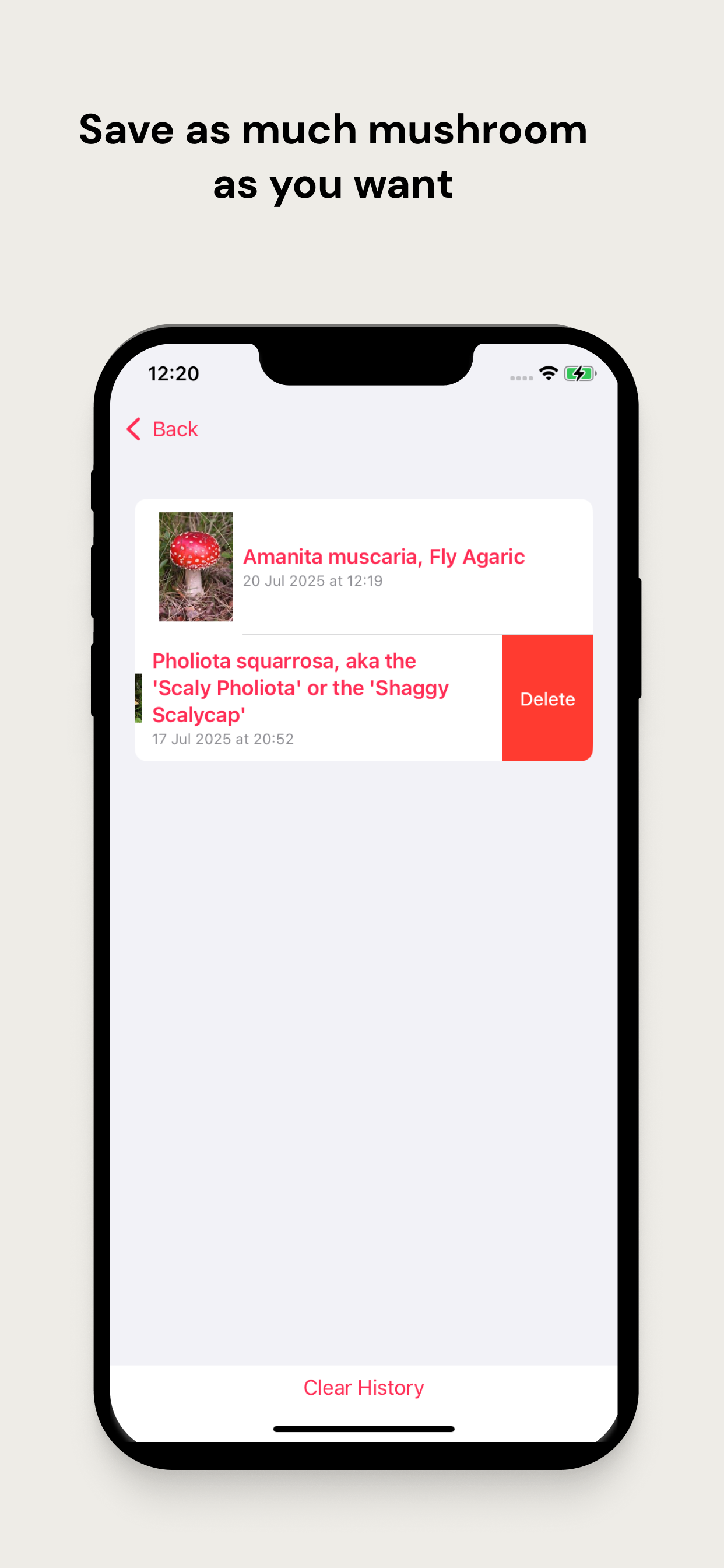 Mushroom Identifier: Guidebook screenshot 4