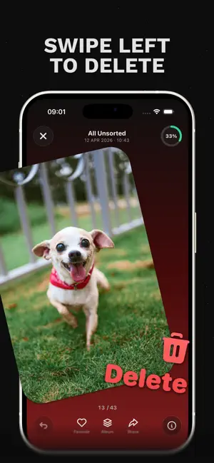 Photo Cleaner: SwePic screenshot 2
