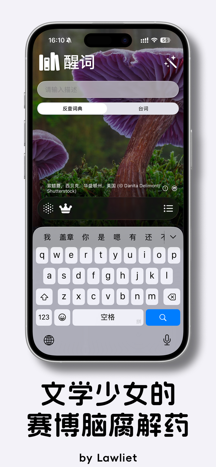 醒词-反查词典 快捷输入法、诗词、成语、台词、作文、语文近义 screenshot 1