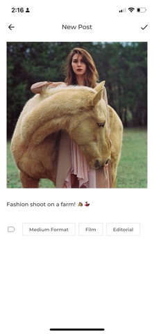 Foto Inc screenshot