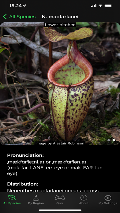 Screenshot #1 pour Nepy