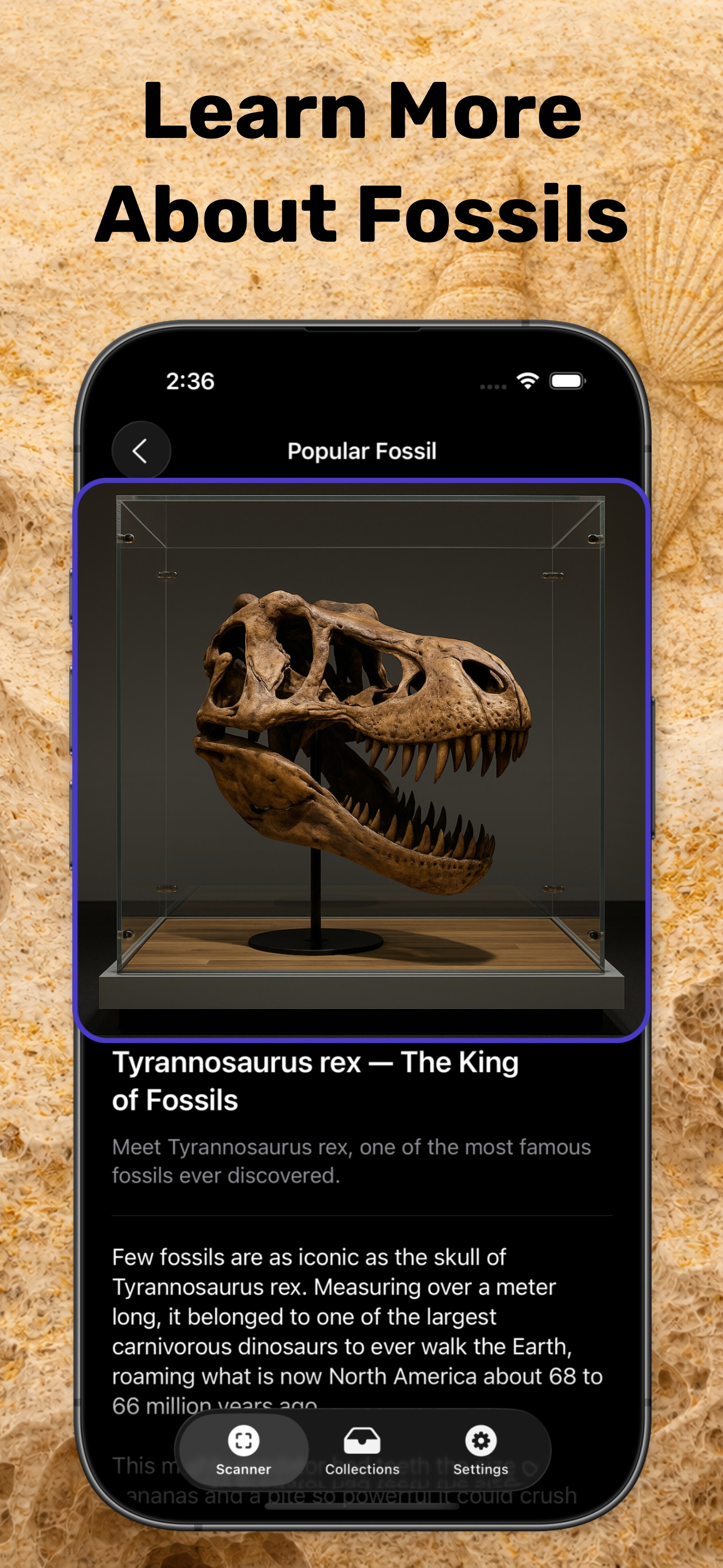 Fossil Identifier & Rock ID