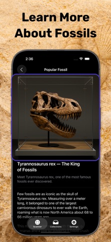 Fossil Identifier & Rock ID iPhone screenshot