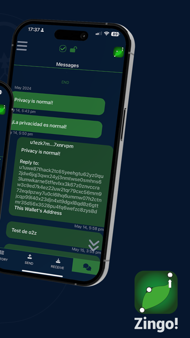 Zingo! Screenshot