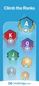 IntoBridge screenshot