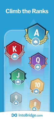IntoBridge screenshot 5