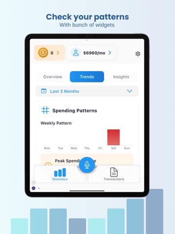 Penny Echo AI Finance Tracker iPad screenshot