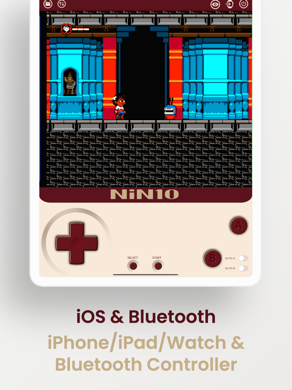 NiN10: Nintendo Emulator iPad screenshot 4 - Entertainment app