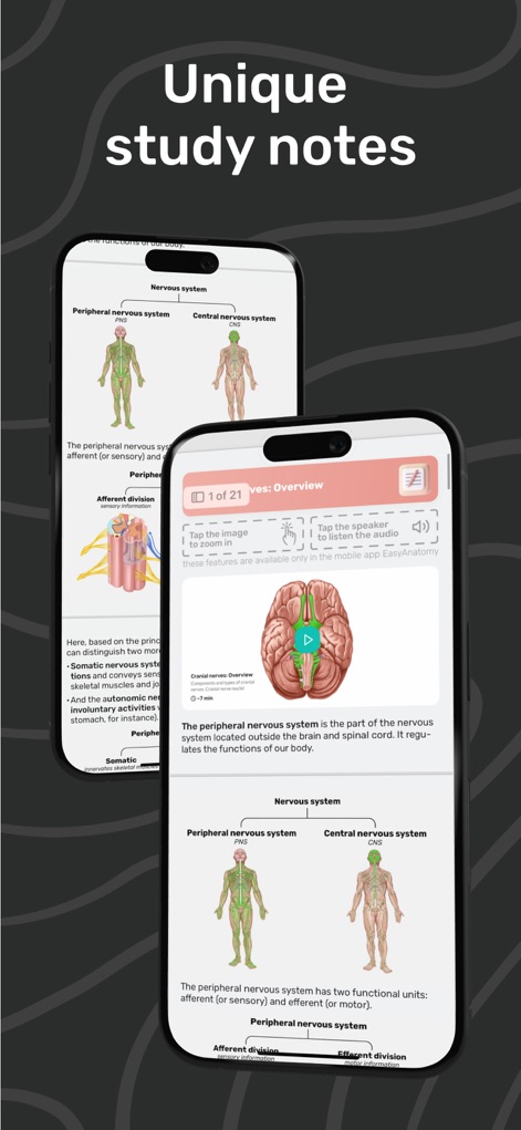 Easy Anatomy 3D - Utilize expert-made study notes, featuring concise overviews of systems like the nervous system and clear diagrams for enhanced comprehension.