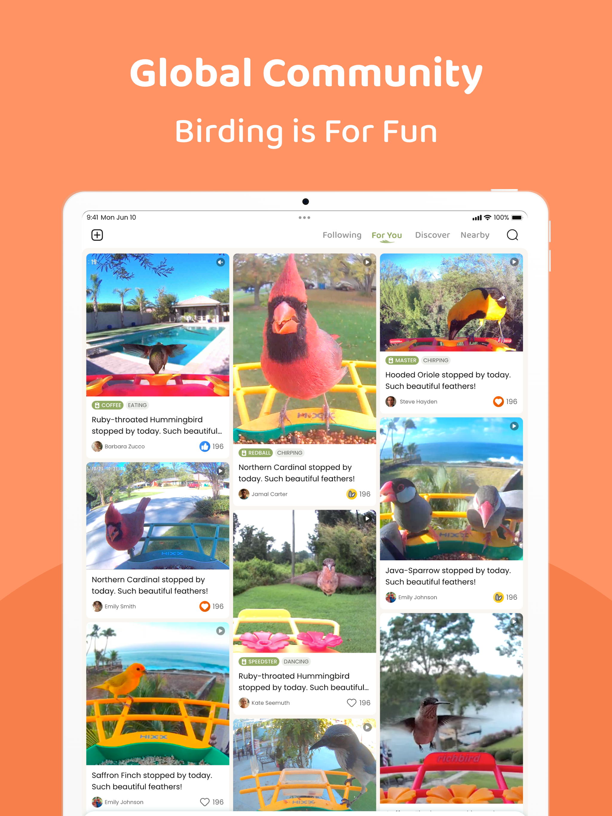 COOLFLY：Free Bird ID&Community screenshot 12