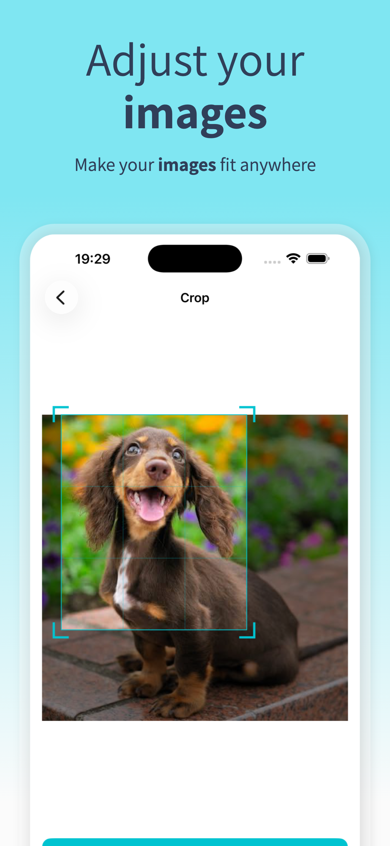 Image Converter: Offline screenshot 3