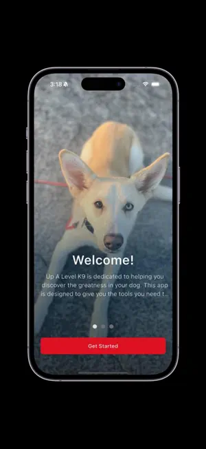 Up A Level K9 Academy screenshot 2