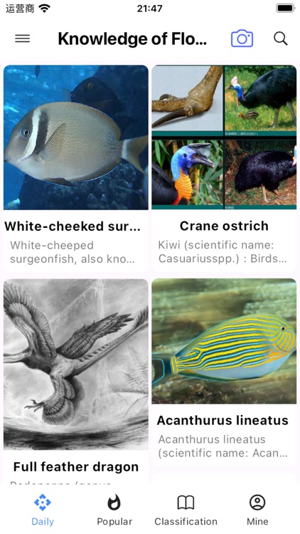 Wild Guide - Plant & Animal ID