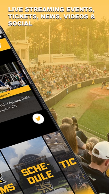 Kennesaw State Owls Athletics