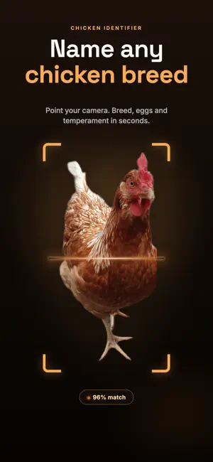 Chicken Identifier: Breed ID screenshot 1
