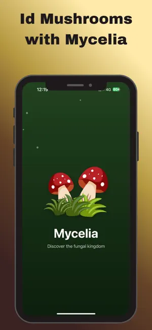 Mushroom Identifier : Mycelia screenshot 4