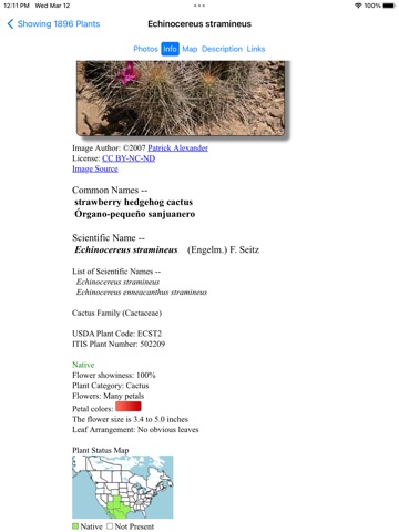 Northeast Mexico Wildflowers iPad screenshot