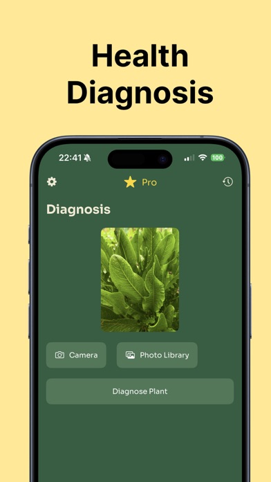 Plant Identifier: Care Tips Screenshot