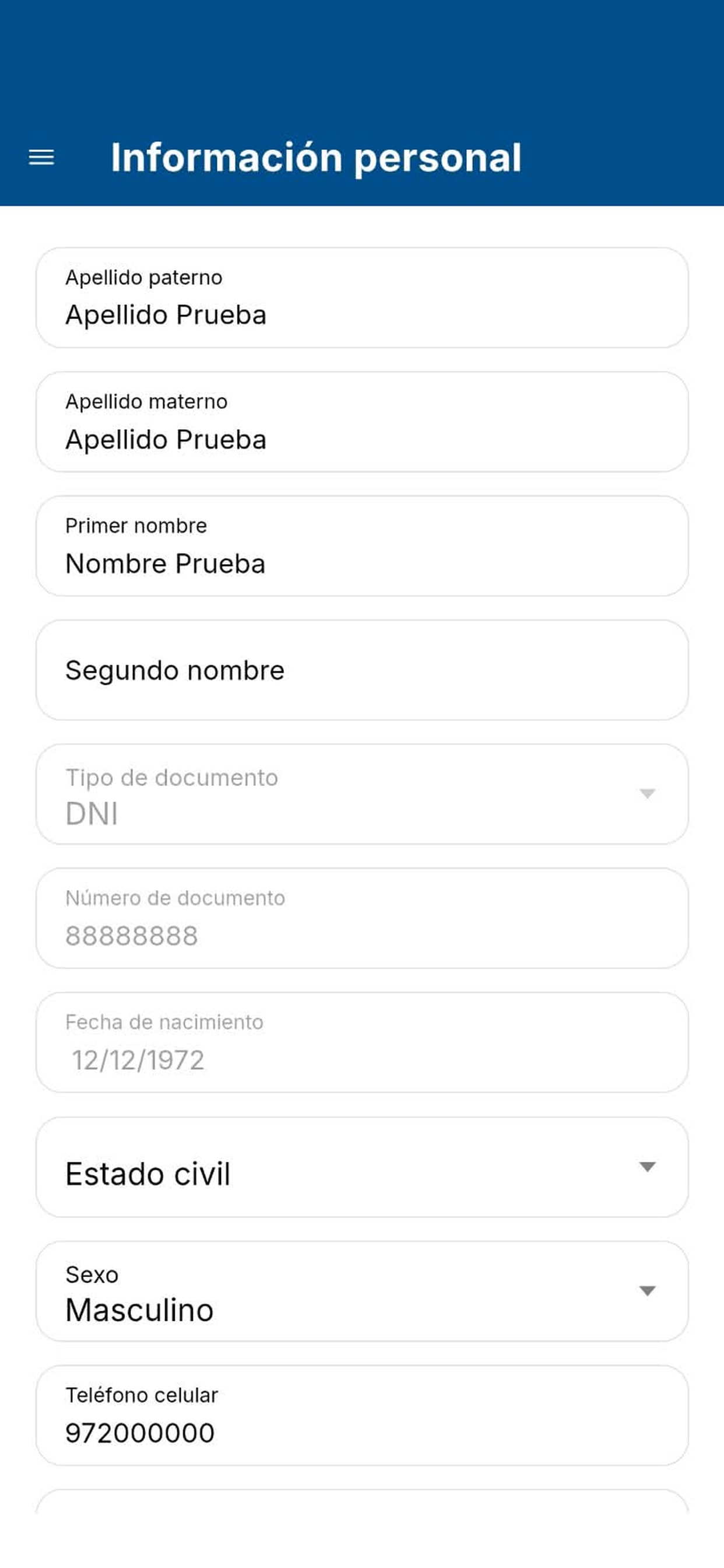 Screenshot 6 of Gesso Sanrafael