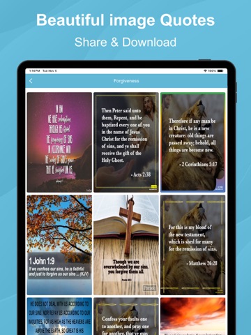 Myanmar Bible iPad screenshot