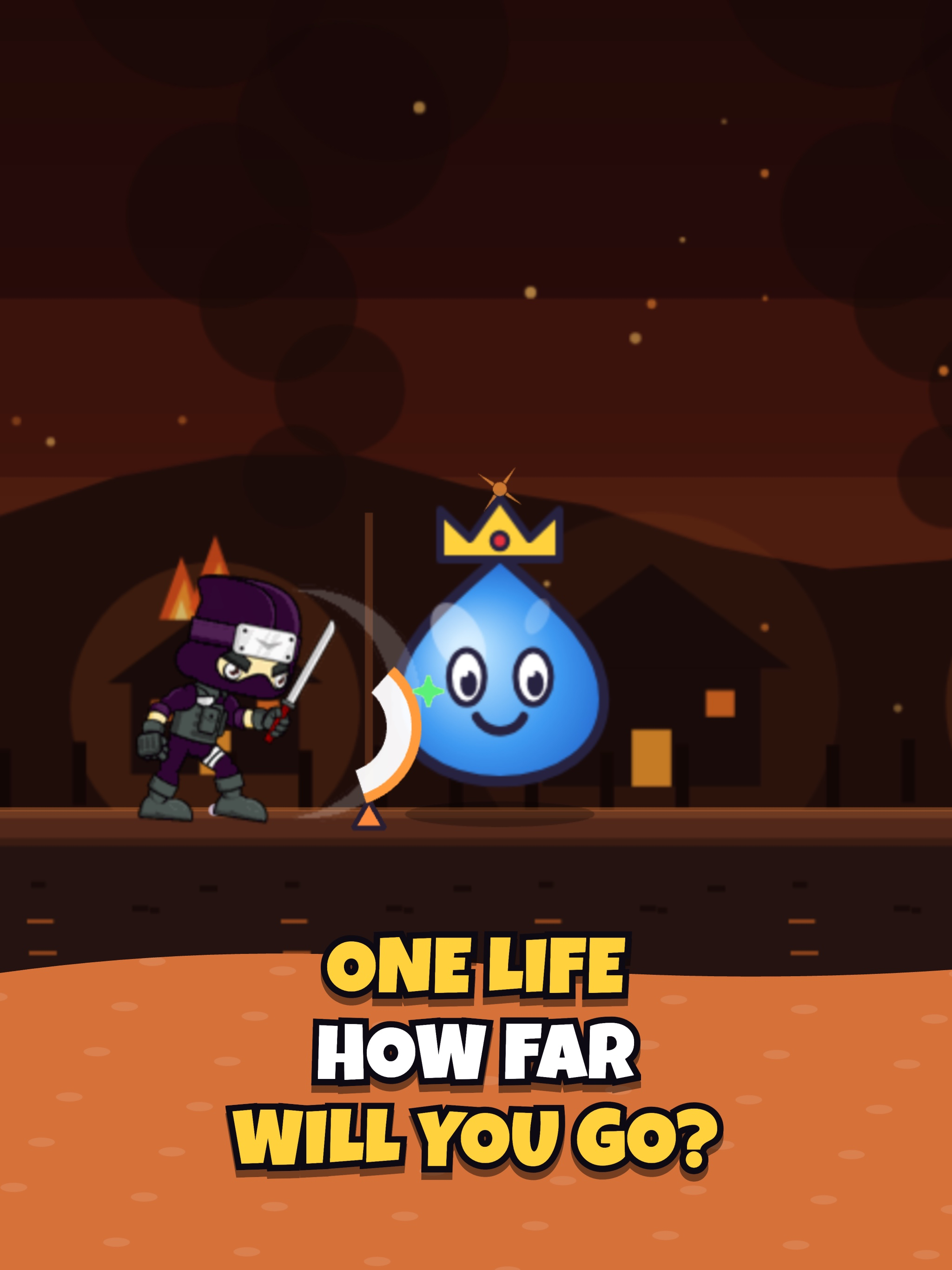 Ninja Run: Endless Runner