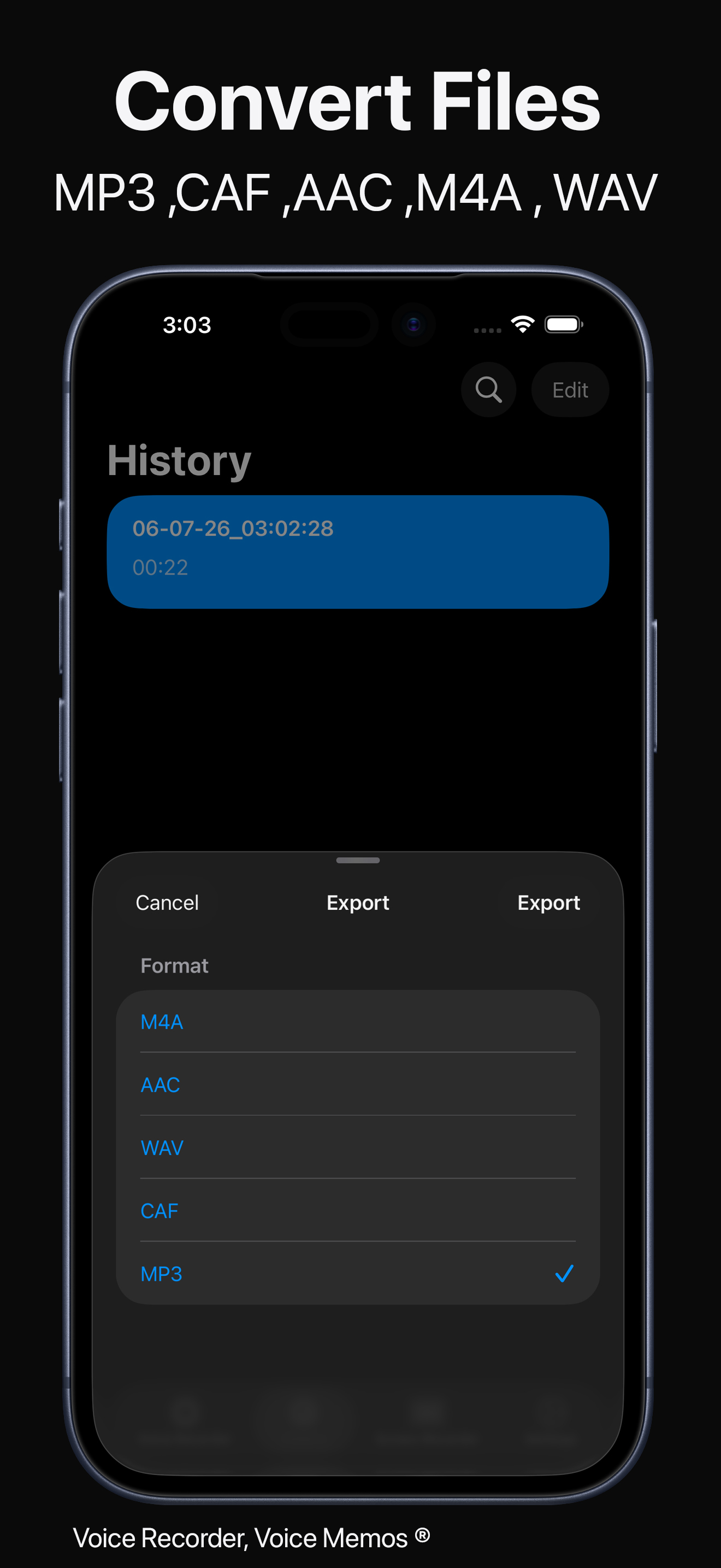 Voice Recorder, Voice Memos ® screenshot 8