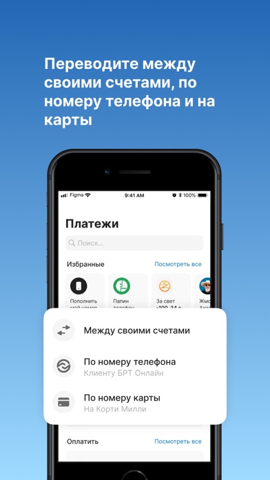 DBT PAY Screenshot