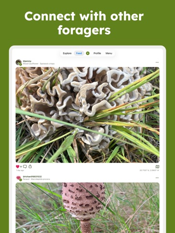 Sporecast: Mushroom Identifier iPad screenshot 3
