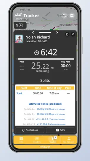 P3R iPhone Screenshot 4