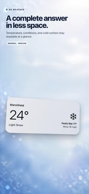 DS Weather: At a Glance screenshot 4