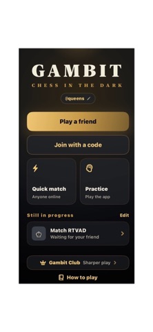 Gambit/chess Screenshot 1 of 5