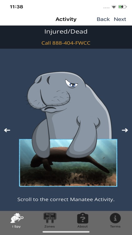 I Spy a Manatee screenshot-4